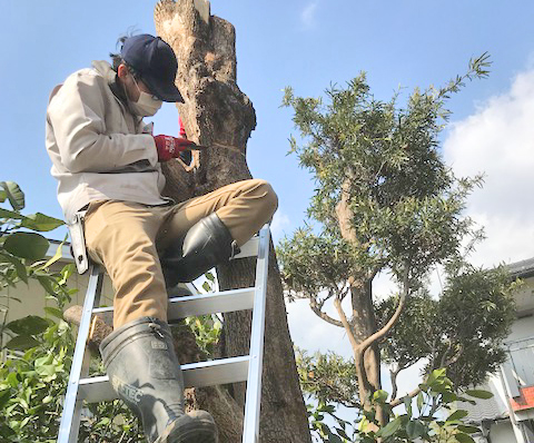 荻野ガーデンサポートがお庭のお悩みを解決します！